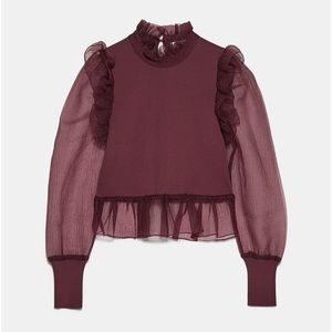 Zara Organza Top